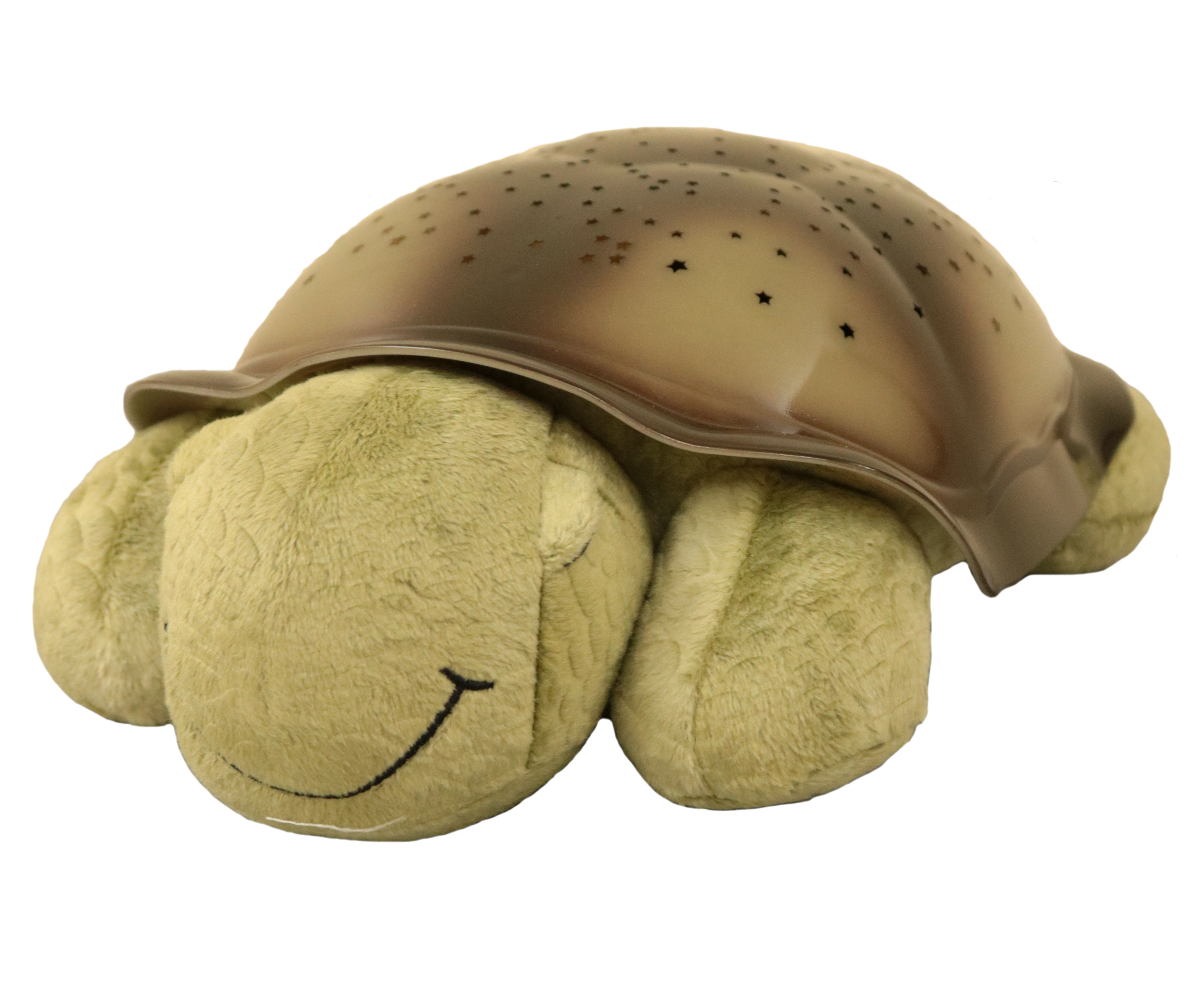 A green and brown tranquil turtle.