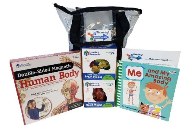 A STEAM kit with books on the human body.